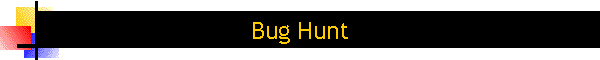 Bug Hunt
