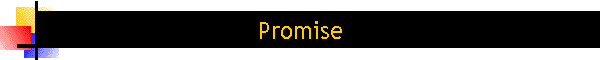 Promise